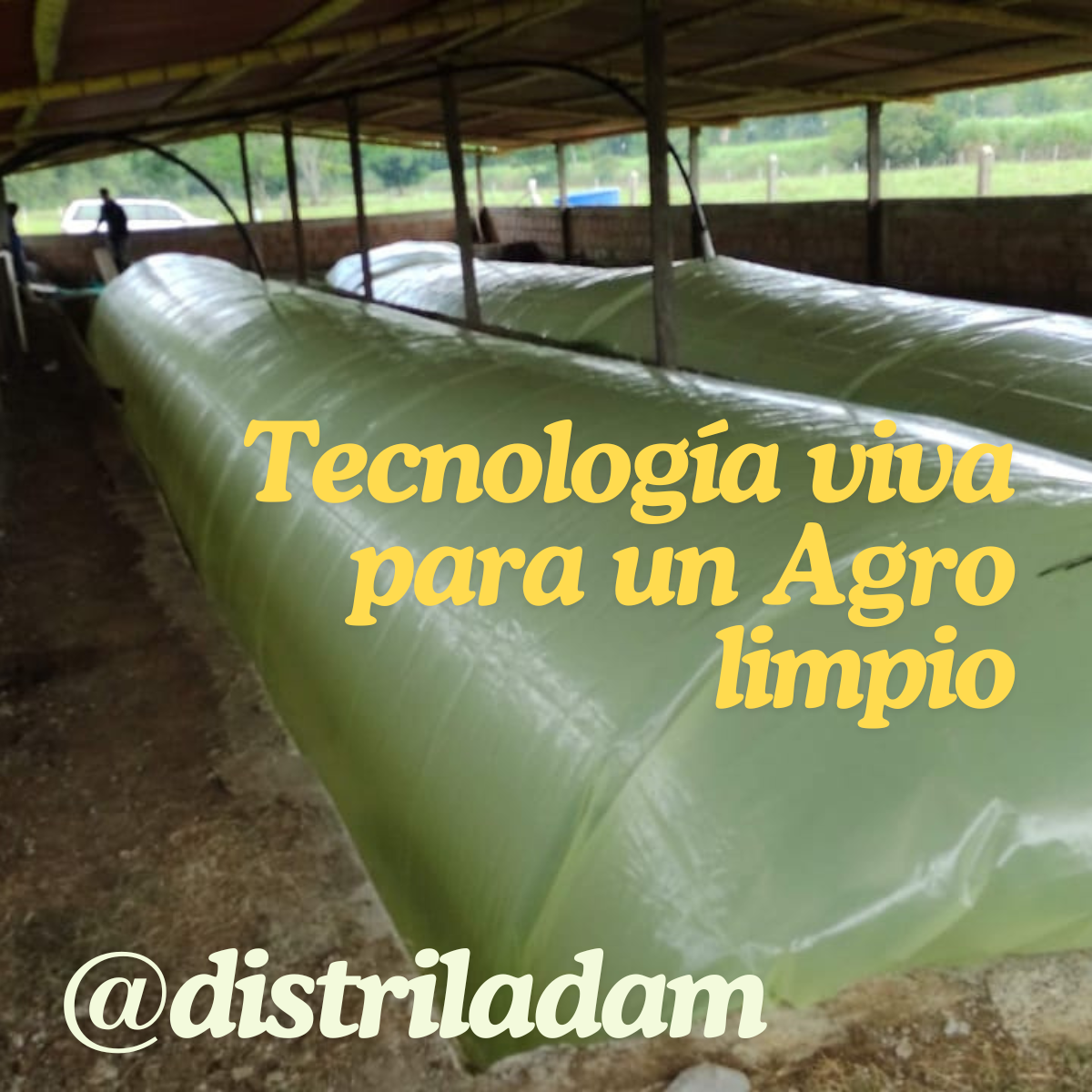 Tecnología viva (1)