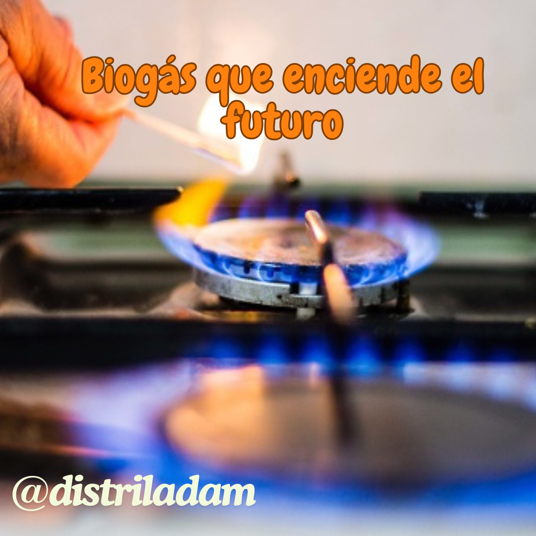 Texto (1080 x 1080 px) (1)